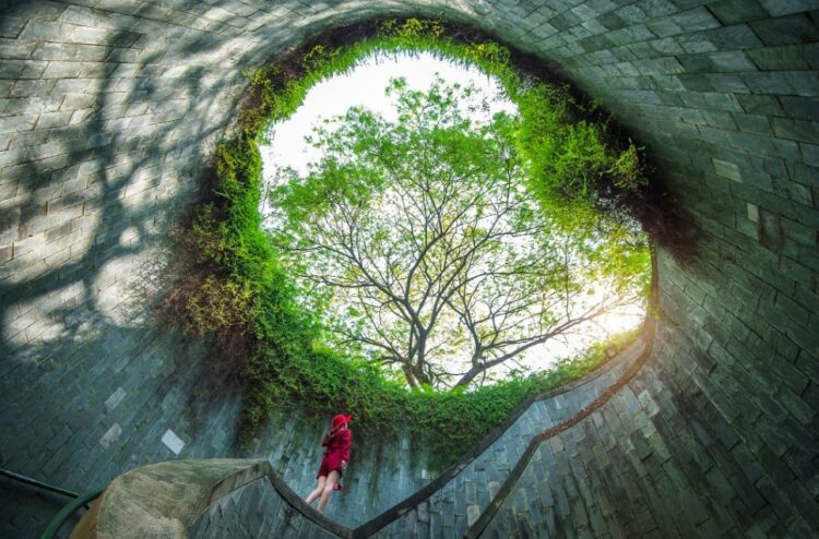 Tempat hiking di singapura - fort canning park