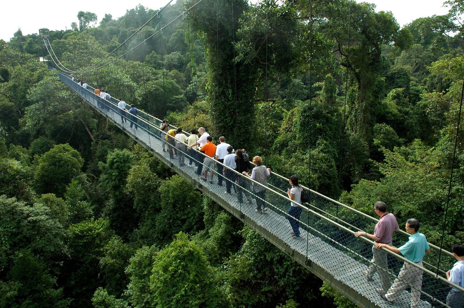MacRitchie Reservoir Park