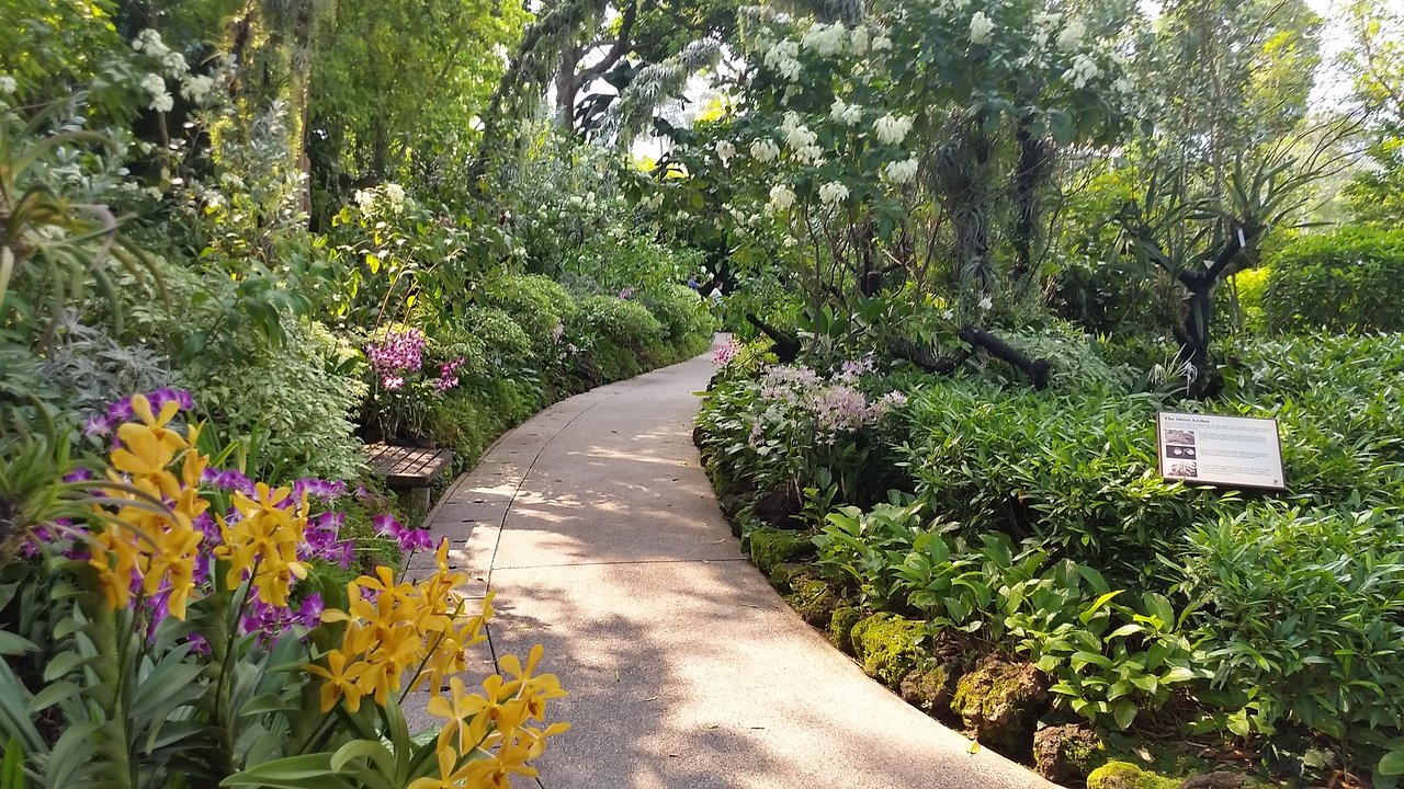 Singapore Botanic Garden