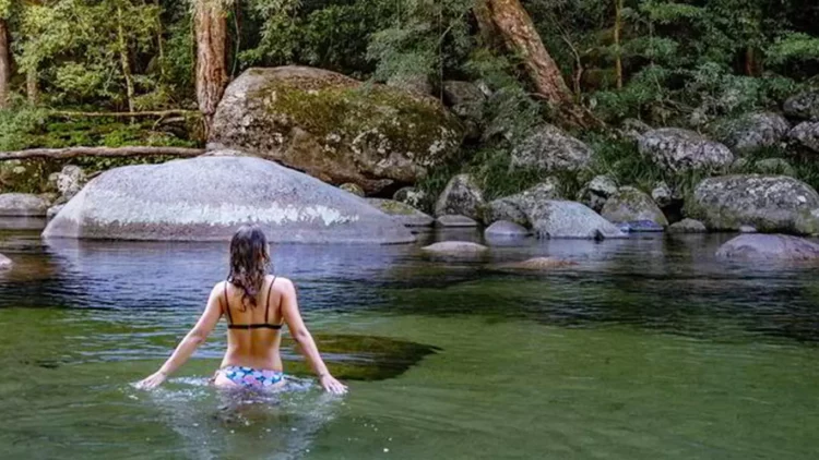 Taman nasional daintree
