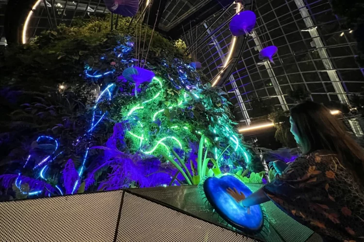 Avatar the experience at gardens by the bay