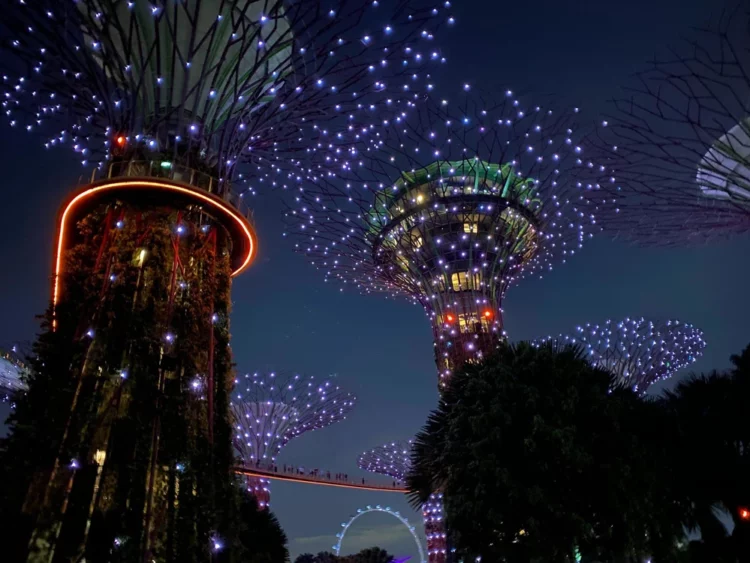 Supertree grove