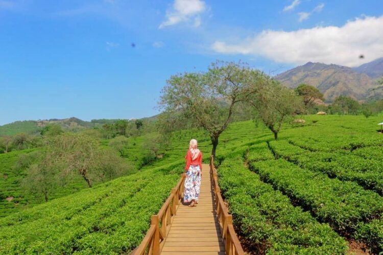 10 tempat wisata instagramable di malang yang wajib dikunjungi