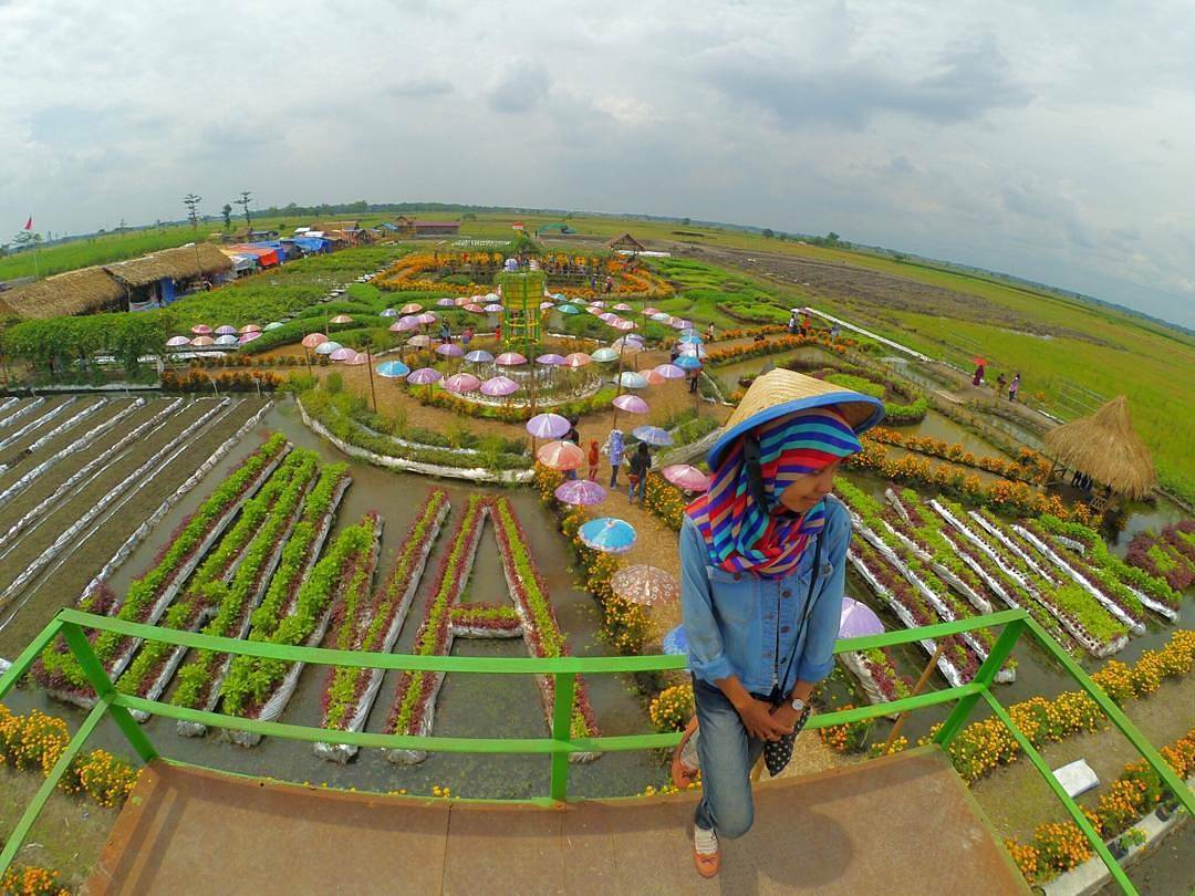 10 Destinasi Wisata di Jombang yang Sangat Hits