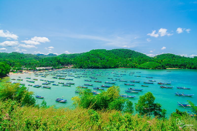 10 Tempat Wisata di Pacitan dengan Nuansa Alami Terbaik