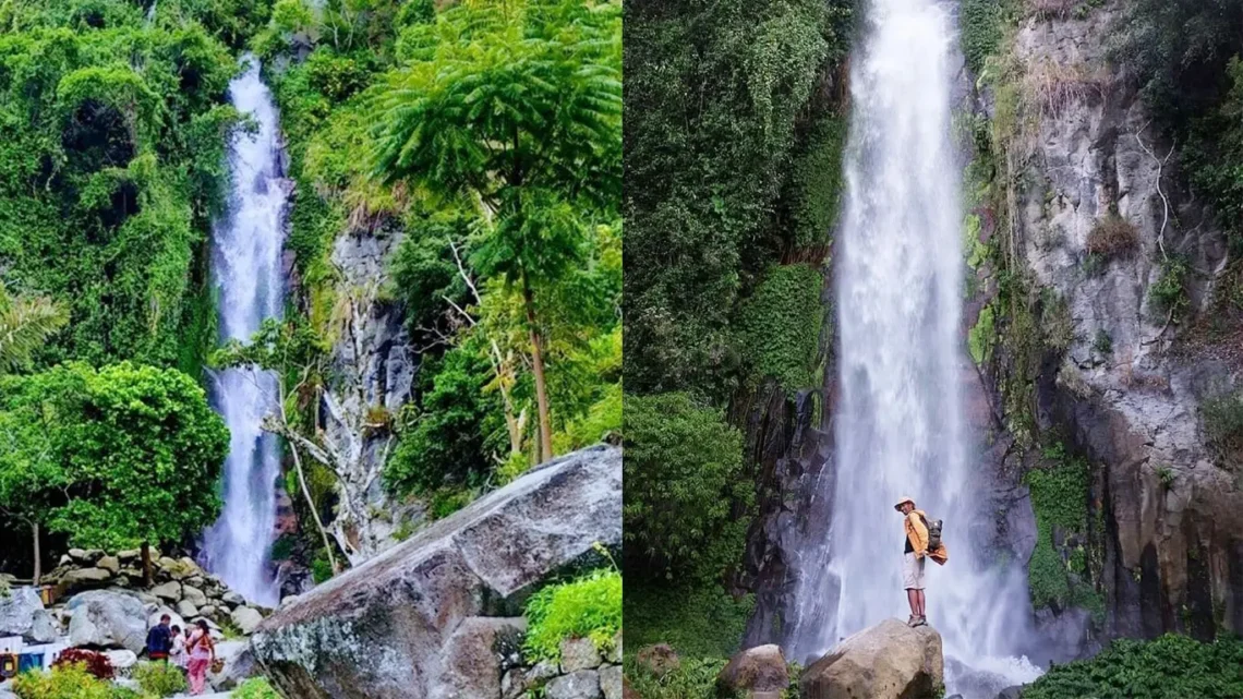 Air terjun janji