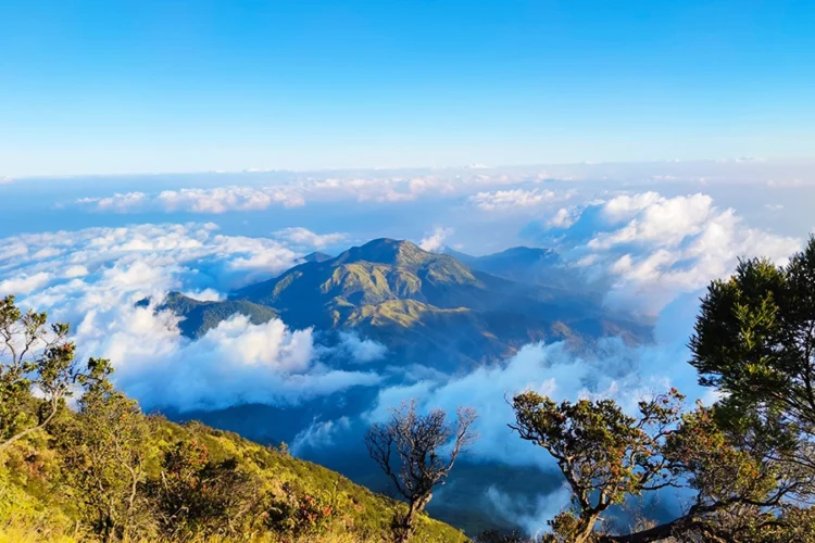 Rekomendasi vila di tawangmangu