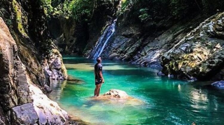 Yuk coba wisata liar di tangkahan, sumatera utara! Wisata liar di tangkahan